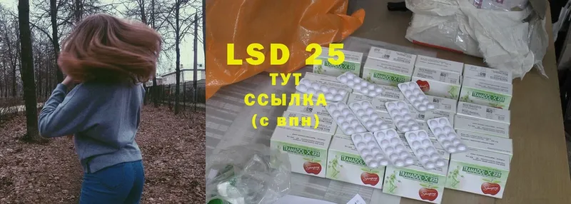 LSD-25 экстази ecstasy  Луга 